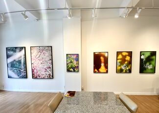 Susan Wides | and something happens to the light, installation view