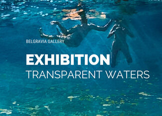 Transparent Waters, installation view
