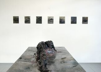 Dissecting the Unknown, installation view