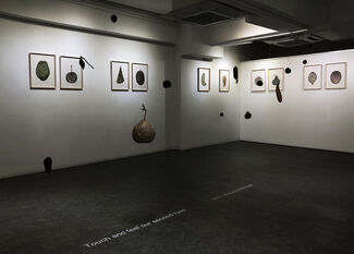 Close Encounter with Nature, installation view