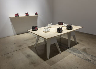 Kiyoshi Kaneshiro: Starburst, installation view