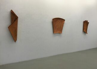 Evolving Sign, installation view