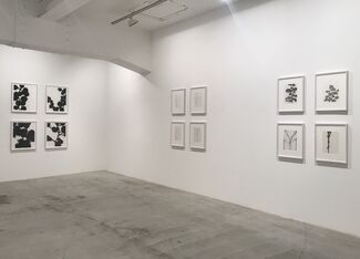 "Art is Hope", installation view
