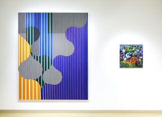 Altered States: A Psychedelic Legacy, installation view