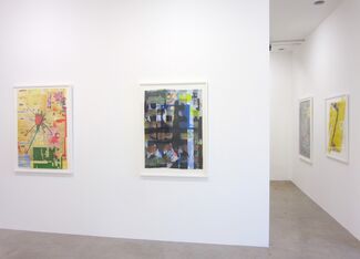 Carmon Colangelo: Here be Dragons - Below the Fold, installation view
