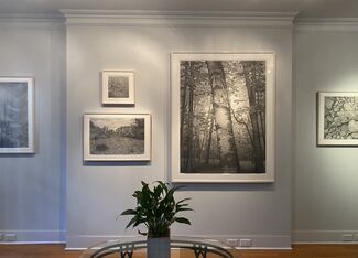 Mary Reilly: Nature of Vermont, installation view