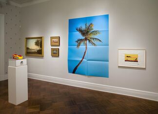 Palma, Palmiers, Palm., installation view