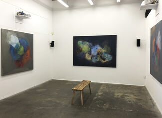 Bonita Helmer: In the Midst of Chaos, installation view