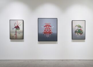 The Animal In Us, installation view