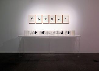 Xiao Bo solo exhibition, installation view