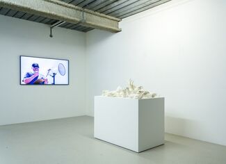 Marcus Coates - The Last of Its Kind, installation view