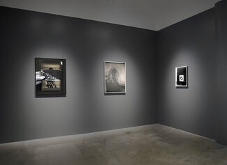 Stephanie Syjuco: Native Resolution, installation view