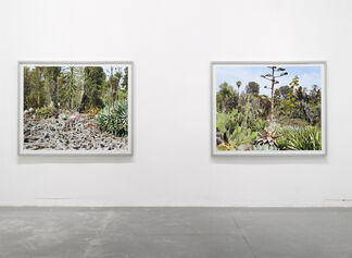 Scott McFarland: Analysing Trapping Inspecting, installation view