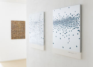 Echoes of the Senses, installation view