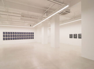 Charlie Hahn <Digits>, installation view