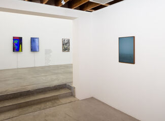 You Don't Have To Say You Love Me, installation view
