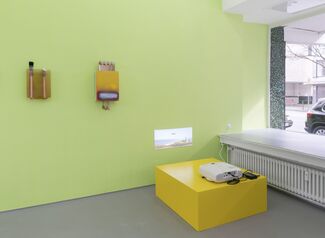 Murray Gaylard - Pelinti, installation view