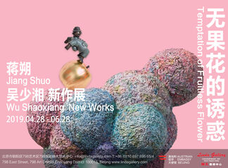 Temptation of Fruitless Flower - Jiang Shuo & Wu Shaoxiang New Works, installation view