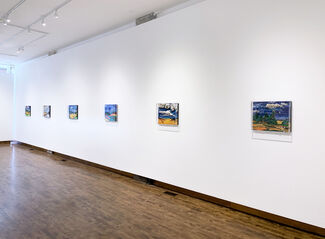 UNCharted Terrain, installation view