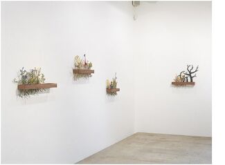 Andy Ouchi, installation view