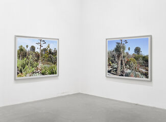 Scott McFarland: Analysing Trapping Inspecting, installation view