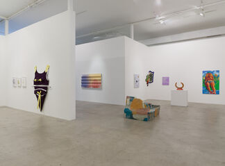 King Dogs Never Grow Old, installation view