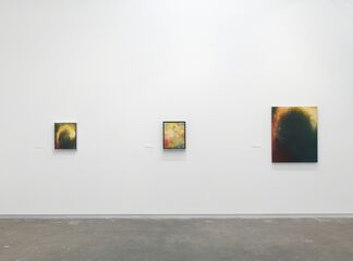 Dan Colen: Oil Painting, installation view