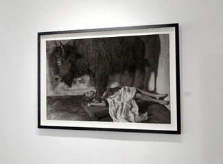 Annie Murphy-Robinson - "Recent Drawings", installation view