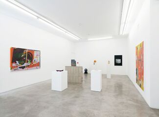PLEASE HAVE ENOUGH ACID IN THE DISH!, installation view