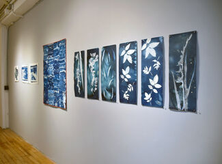 On the Wall: Cyanotypes, installation view