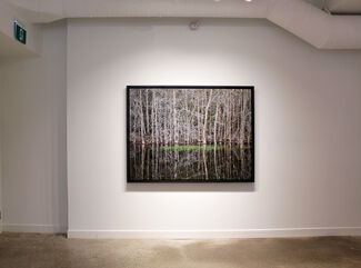 Nicholas Metivier Gallery at Photo London 2020, installation view