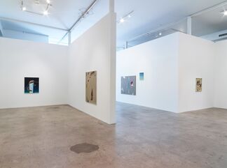 Damien Flood: Shape of Things, installation view