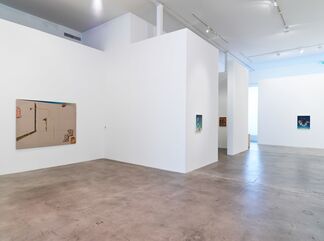 Damien Flood: Shape of Things, installation view