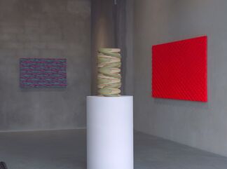 Ara Peterson, Neon Gray, installation view