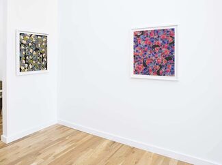 Field Streaming, installation view