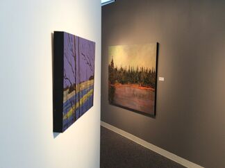 INTERIORS: Studies of Woodland and Forest, installation view