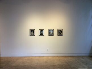 Marcel Dzama: The Fallen Fables, installation view