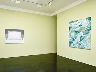 Horizon That Appears Out of The Sleepy Woods, installation view