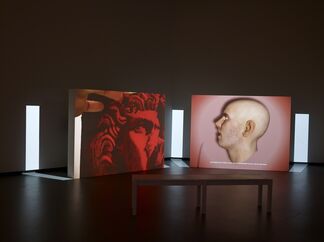 Installment 2: The Collection, installation view
