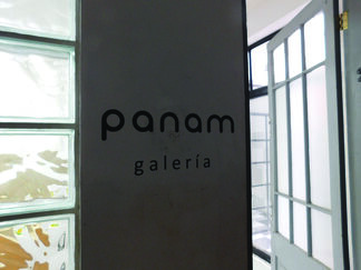 Panam at Ch.ACO 2017, installation view