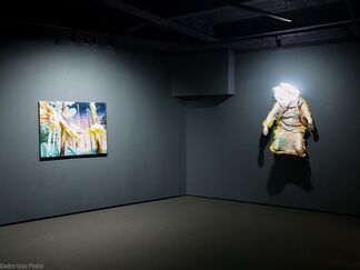 Life in the Lonely Wood, installation view