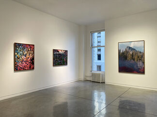 Christopher Rodriguez | Afterlife, installation view