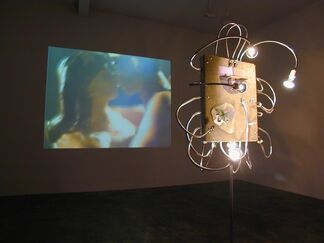 JENNIFER & KEVIN McCOY - Directed Dreaming, installation view