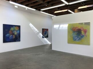 Bonita Helmer: In the Midst of Chaos, installation view