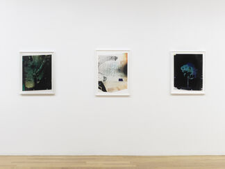 Carrie Schneider: Deep Like, installation view
