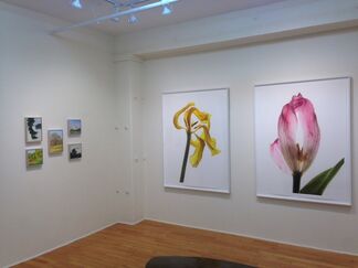 Select 3, installation view