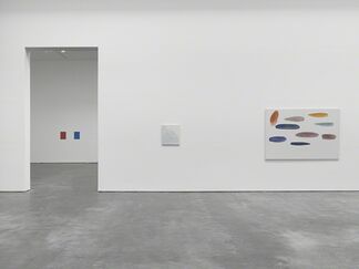 Raoul De Keyser Drift, installation view