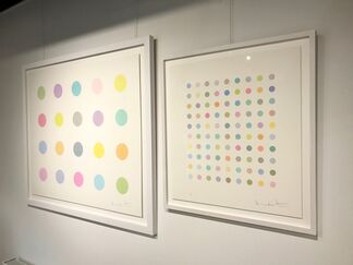 Damien Hirst - The art of, installation view