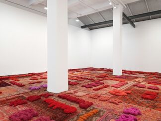 Protruding Patterns, installation view