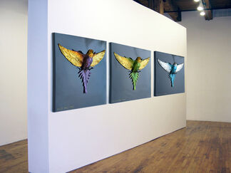 Budgie Lovers, installation view